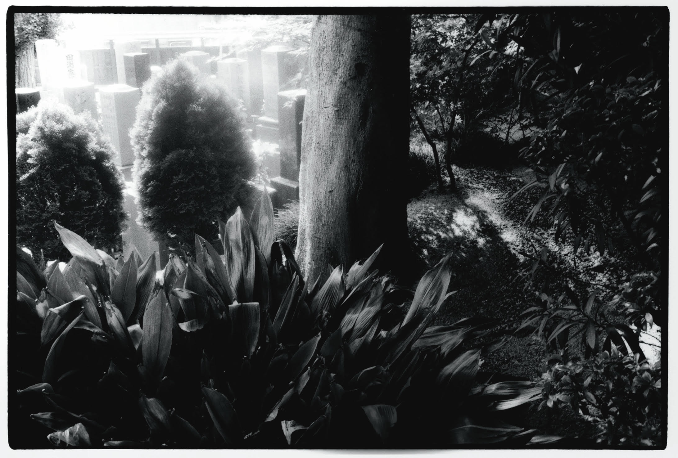 ART 野村佐紀子 写真展 『GO WEST』